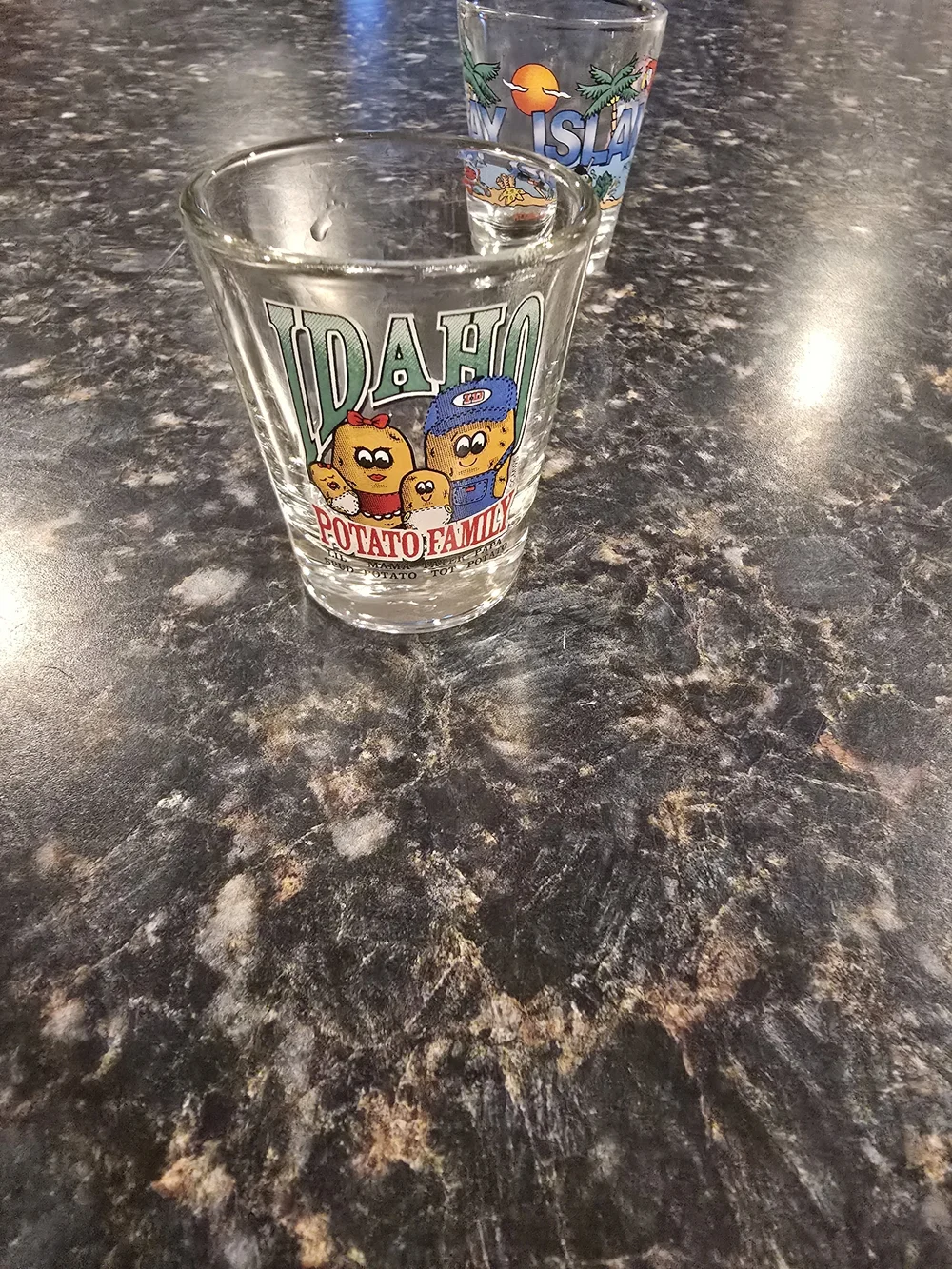 Set of 6 Souvenir Travel Shot Glasses Idaho California Spain Roatan